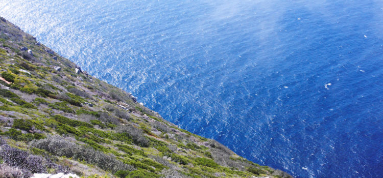 Over the edge of the green precipice lays the blue ocean