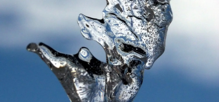 natural stalactite looking like the head of a dog upside down