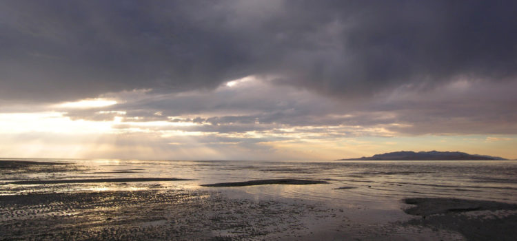 Cloudy day at the beach